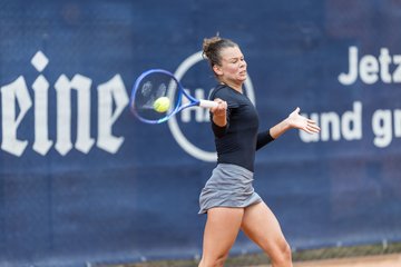 Bild 476 - BL DTV Hannover - BW Dresden Blasewitz : Ergebnis: 2:7